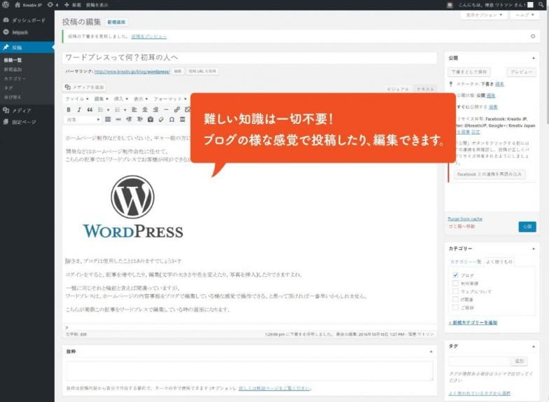 wordpress-edit